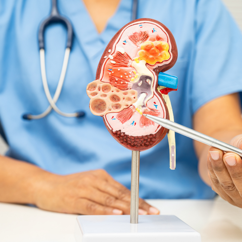 Reconstructive urology treatment by Dr. Gaurav Das, Consultant Urologist in Chembur, Mumbai
