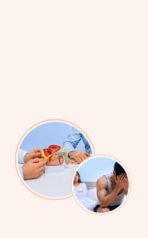 Slide 4 Mobile